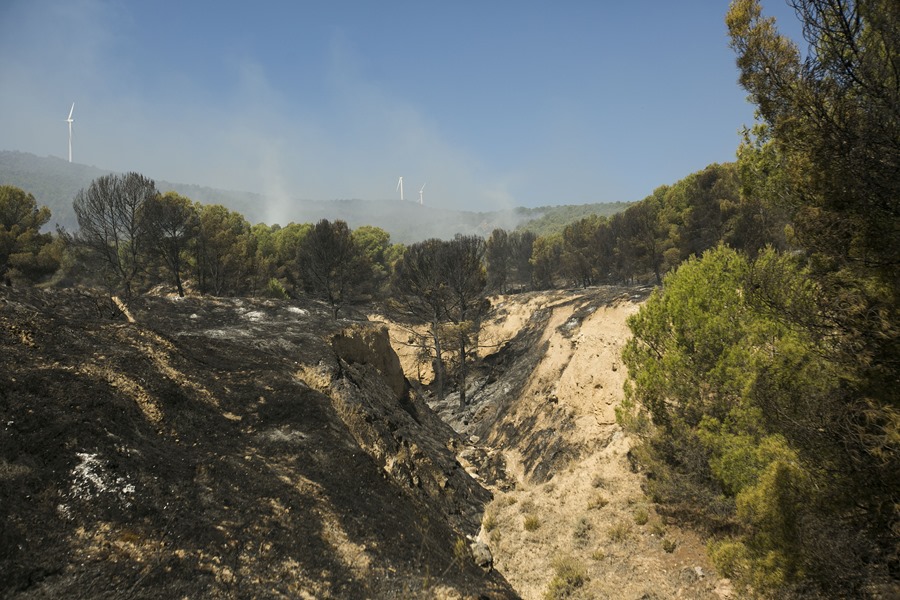 Incendio en el entorno de Añón de Moncayo, cerca de la localidad de Borja (Zaragoza). EFE/ Toni Galán
