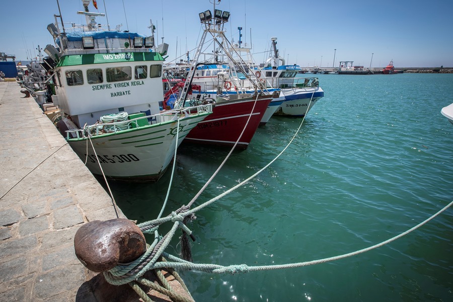 Pesqueros amarrados el puerto de Barbate (Cádiz). Efeagro/Román Ríos