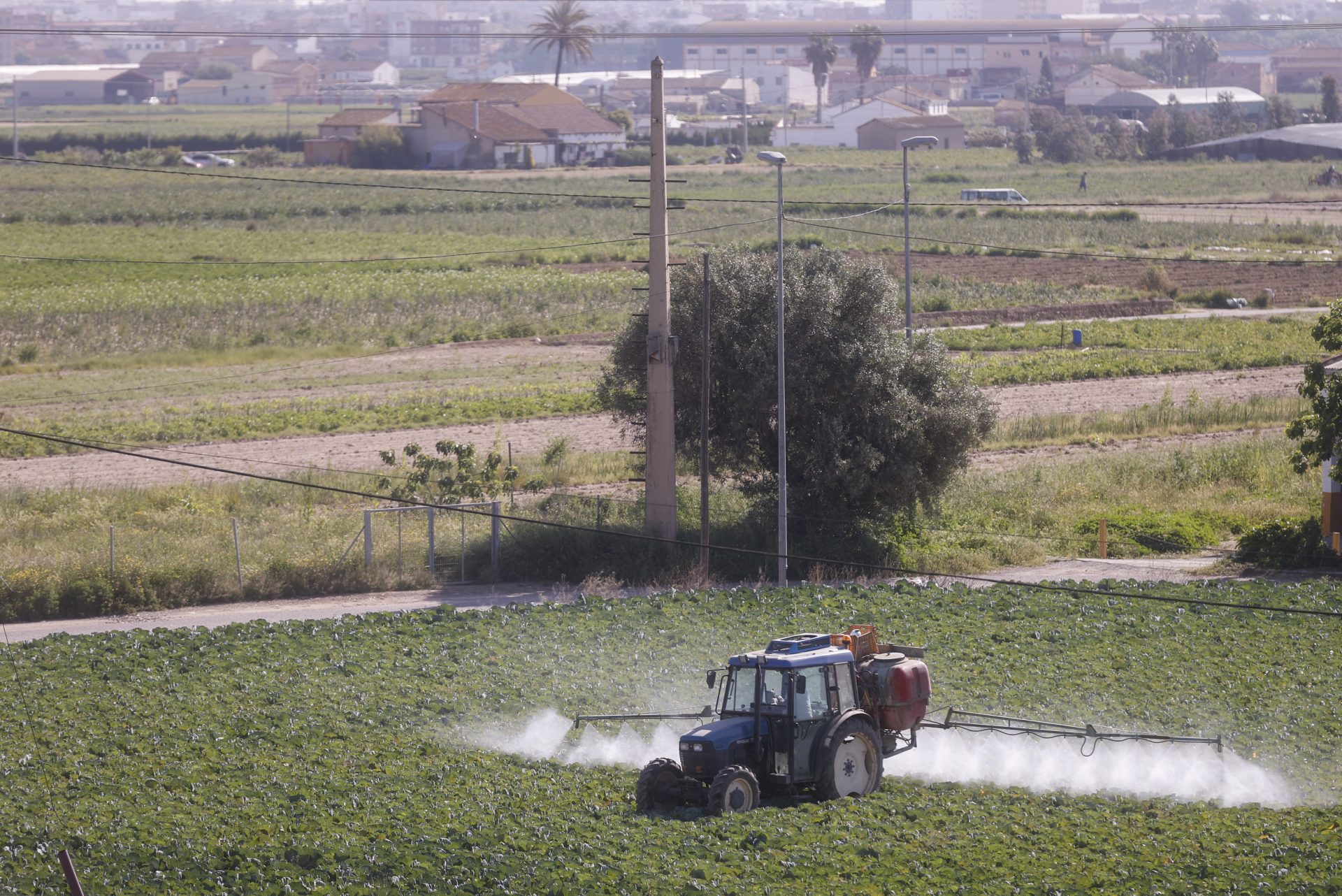 Un agricultor fumiga con su tractor un campo de hortalizas en el área metropolitana de Valencia. Efeagro/Kai Forsterling