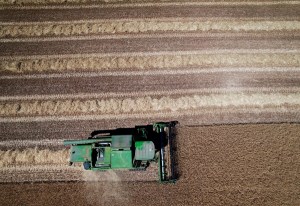Una máquina cosechadora recoge cereal en un campo de Navarra. Efeagro/Jesús Diges