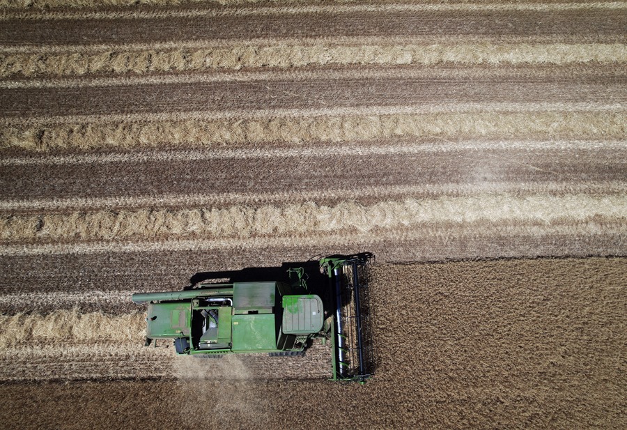 Una máquina cosechadora recoge cereal en un campo de Navarra. Efeagro/Jesús Diges