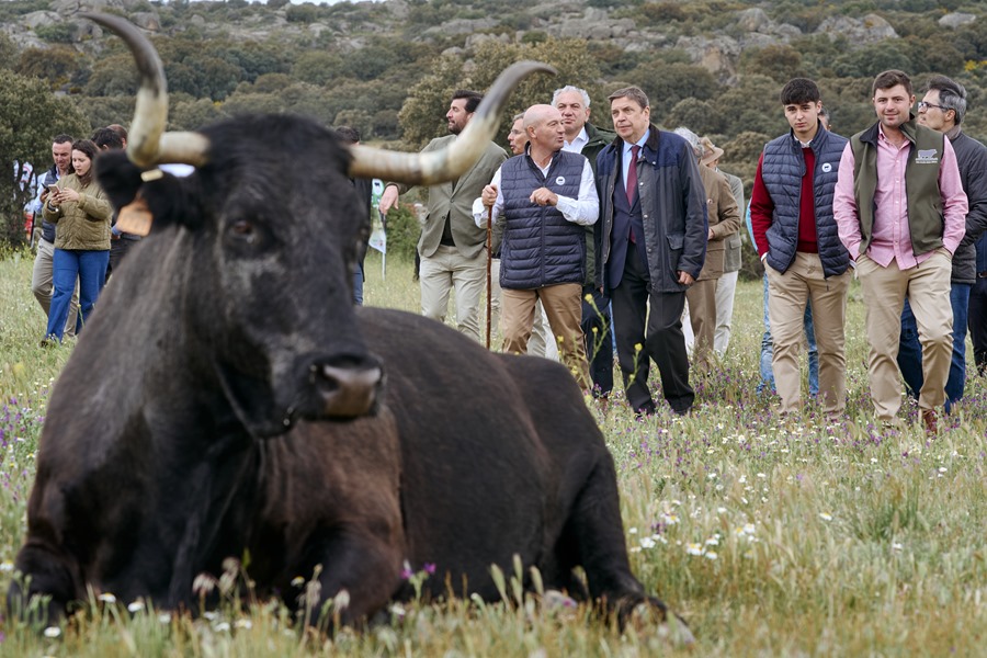 El ministro de Agricultura, Pesca y Alimentación, Luis Planas (4d), durante su visita a una ganadería en Cardeñosa (Ávila). Efeagro/Raúl Sanchidrián