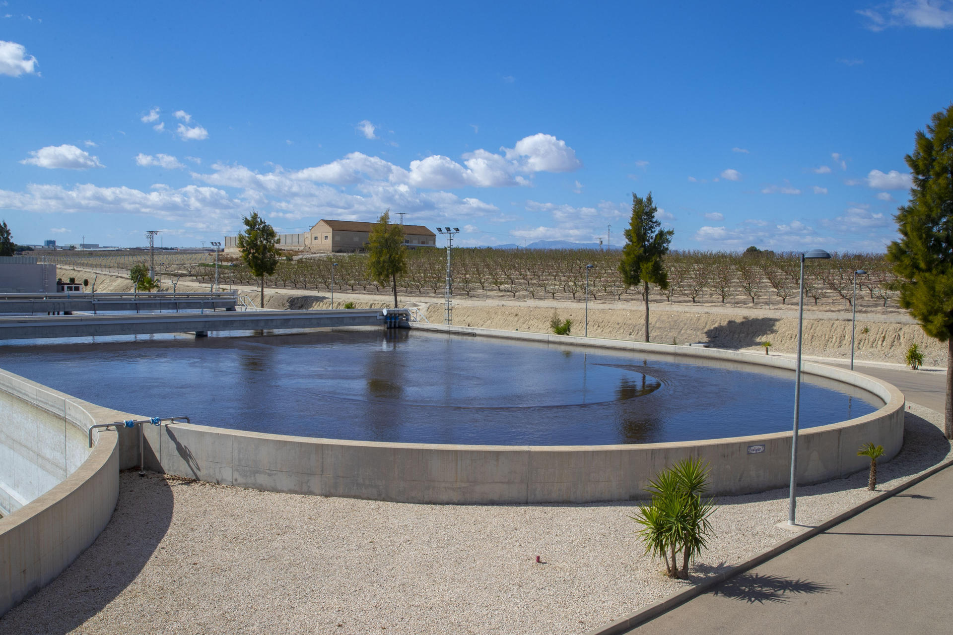 Depósito de aguas residuales para depurar en Murcia junto a una finca de melocotoneros regados con esa agua depurada. Efeagro/Marcial Guillén