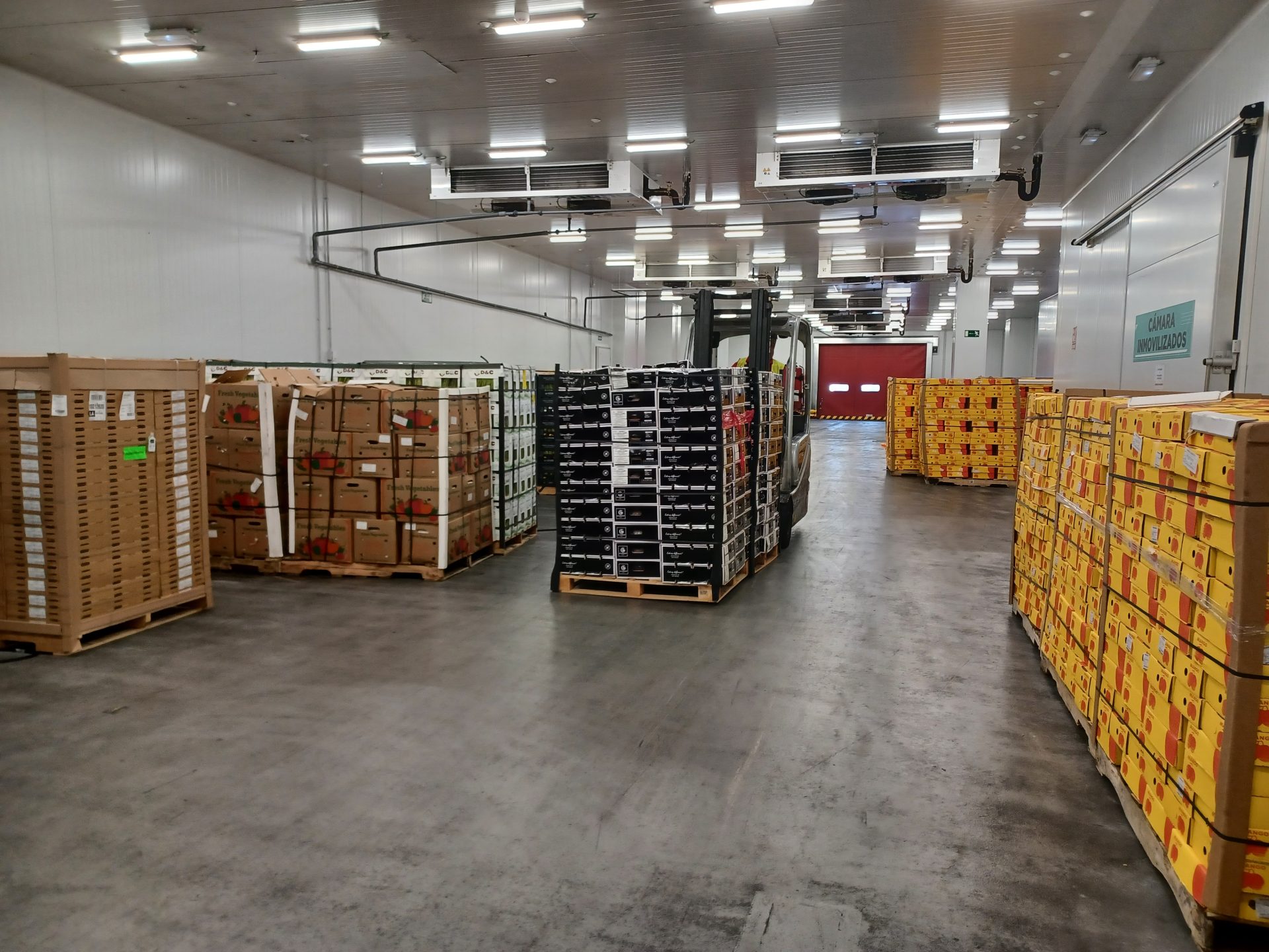 Centro de perecederos de la compañía IAG Cargo en el aeropuerto de Madrid-Barajas. Efeagro/Belén Delgado