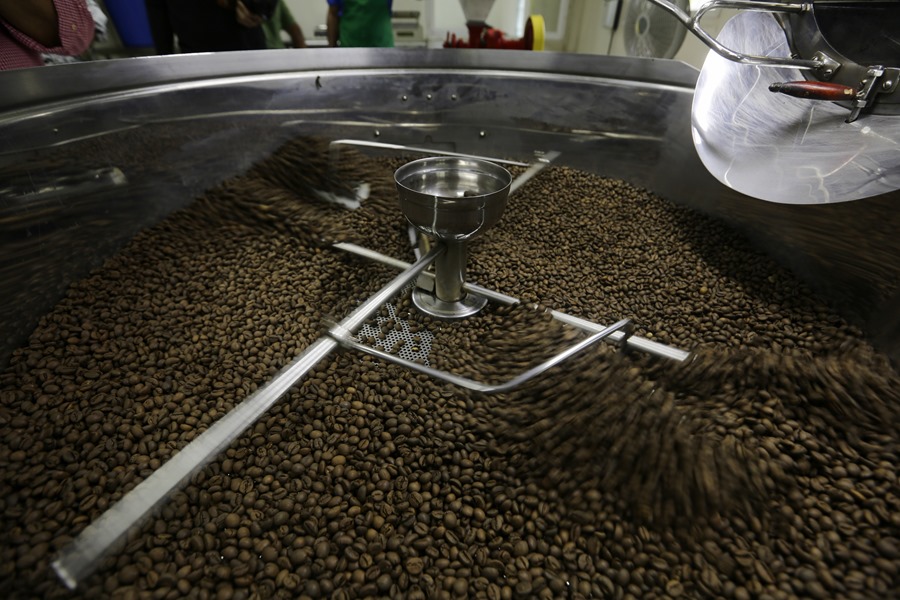 Procesamiento de granos de café en Panamá. Efeagro/Carlos Lemos