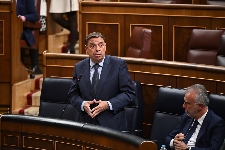 El ministro de Agricultura, Pesca y Alimentación, Luis Planas, interviene desde su escaño durante una sesión de control al Gobierno en el Congreso de los Diputados. EFE/Fernando Villar