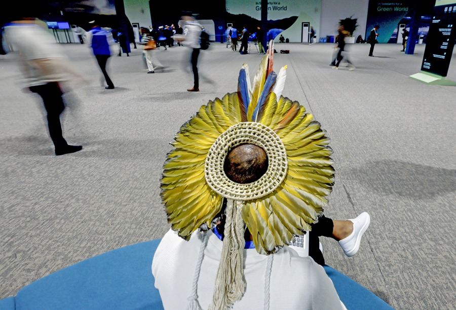 Un participante en la cumbre del clima de Bakú (Azerbaiyán). EFE/EPA/Anatoly Maltsev