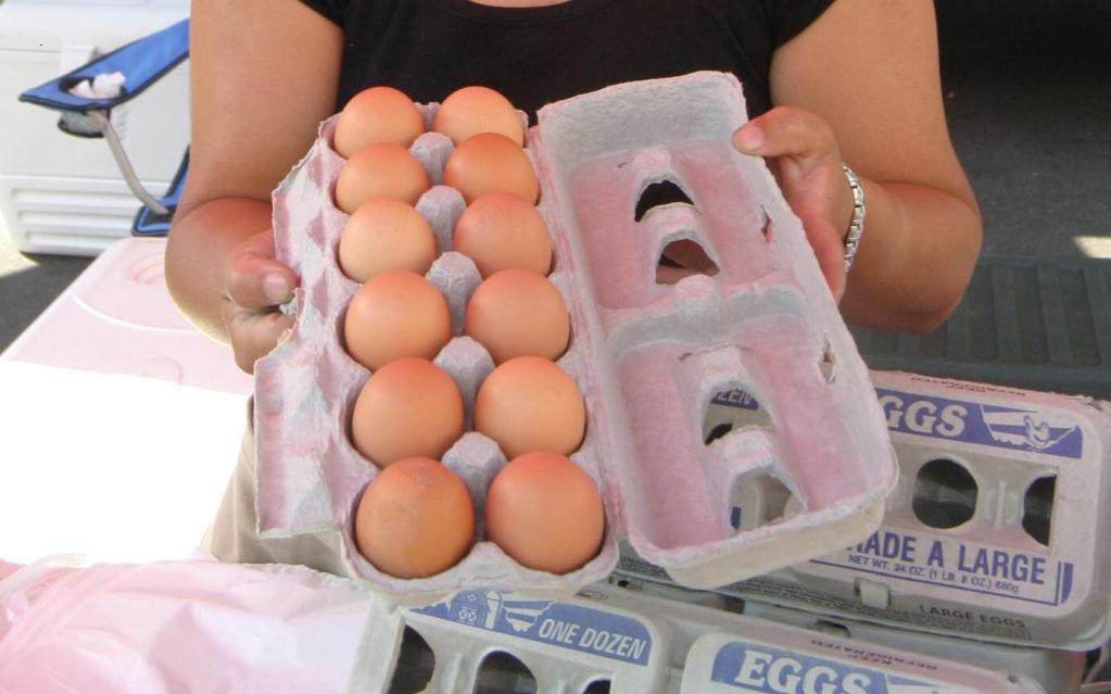 Una docena de huevos que ofrece una vendedora en Nueva York. EFE/Archivo/Miguel Rajmil