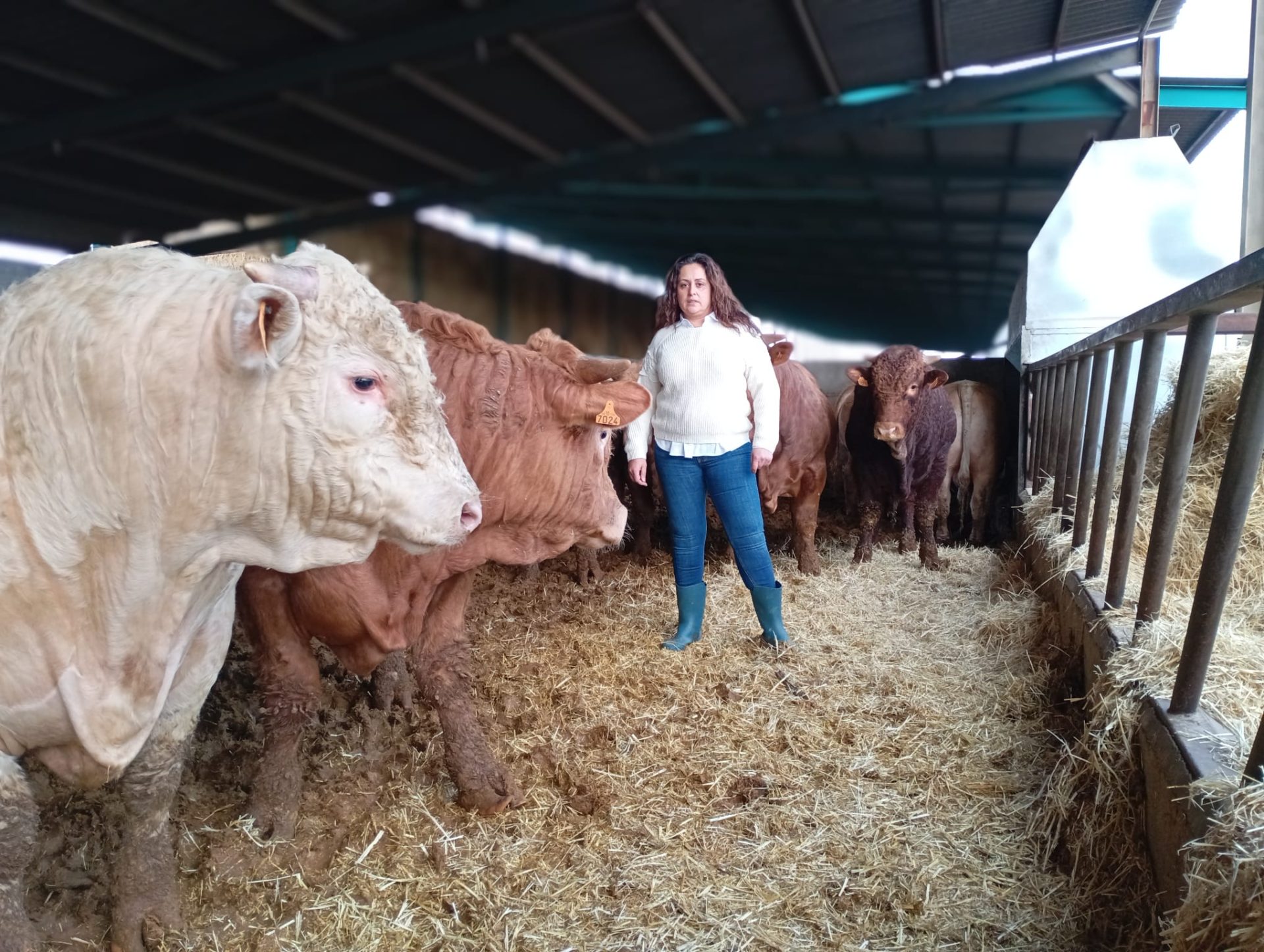 La ganadera Mónica Castellanos en su explotación de vacuno en Navahermosa (Toledo). EFE/Cedida por Mónica Castellanos