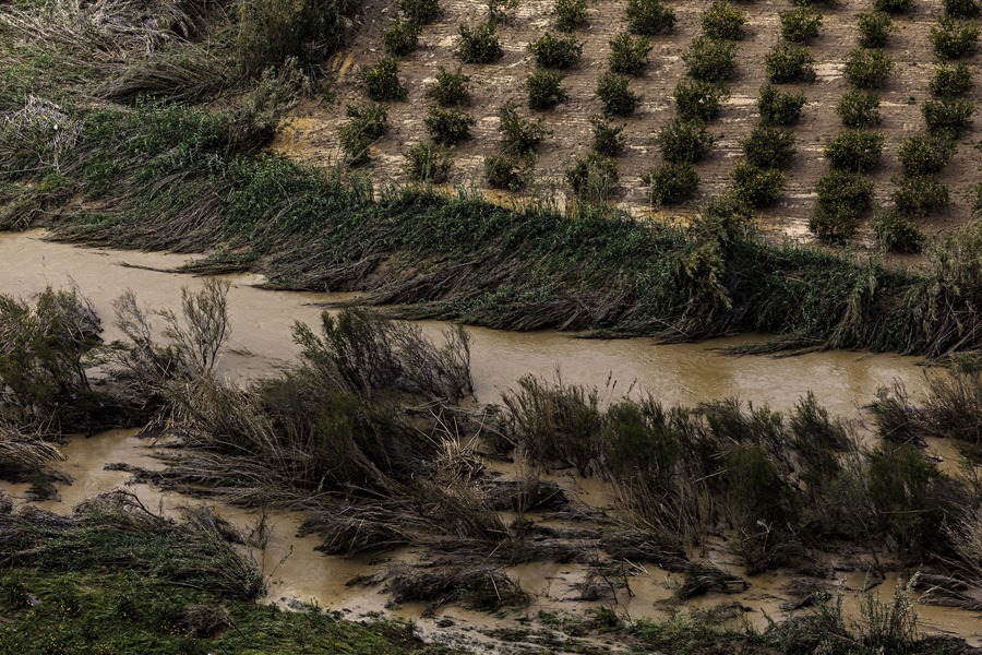 Vista del río Campanillas en una zona afectada por inundaciones en Málaga. EFE/Jorge Zapata