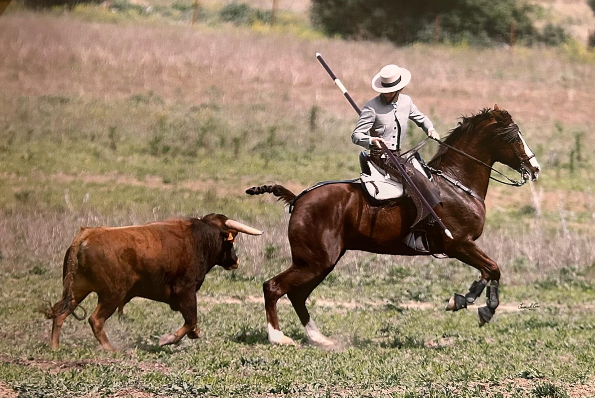 El domador de caballos Carlos Domecq durante una faena con ganadería brava. Efeagro/C.D.