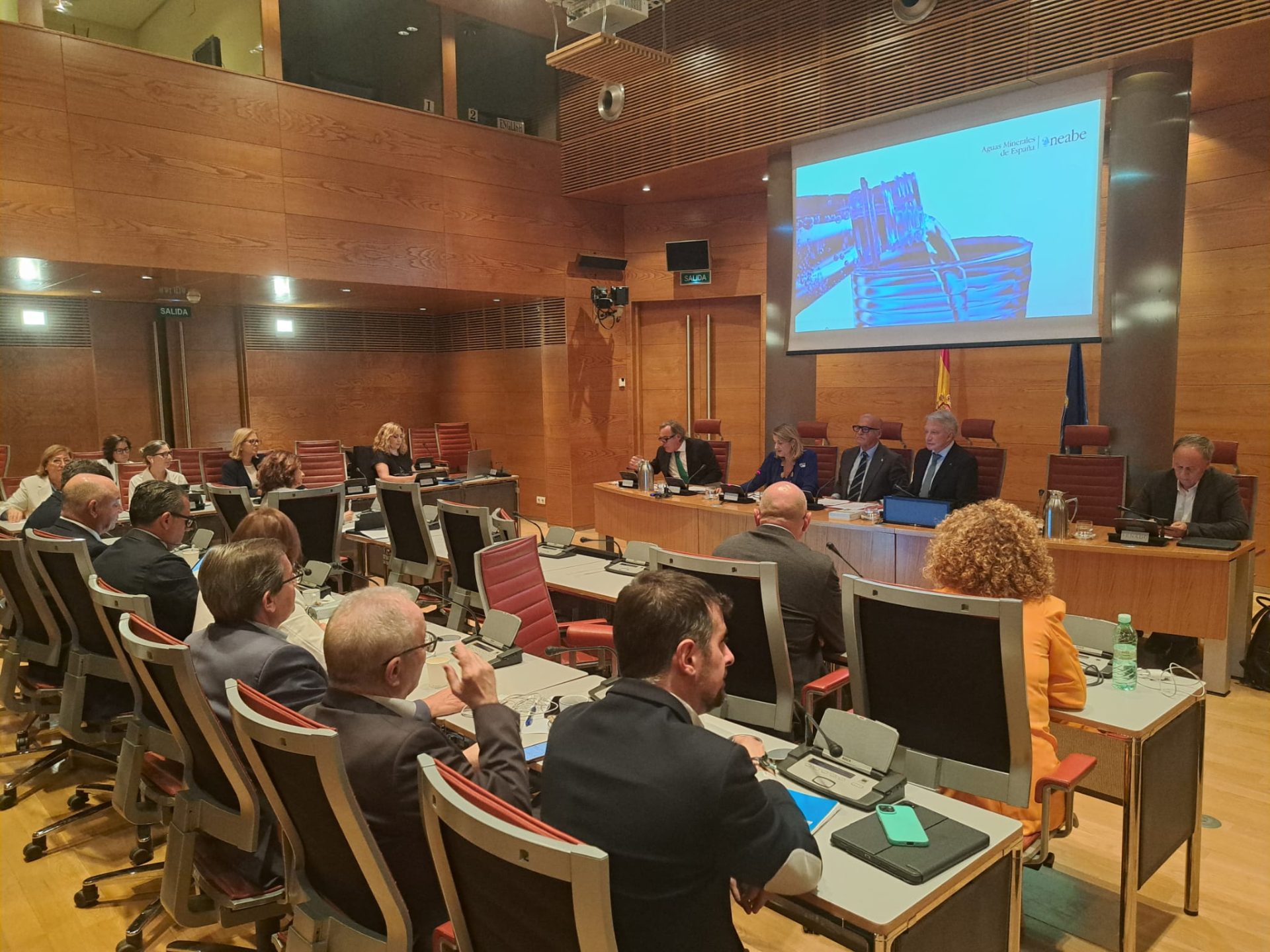 Presentación del informe de Aneabe en el Senado. EFE/Aneabe