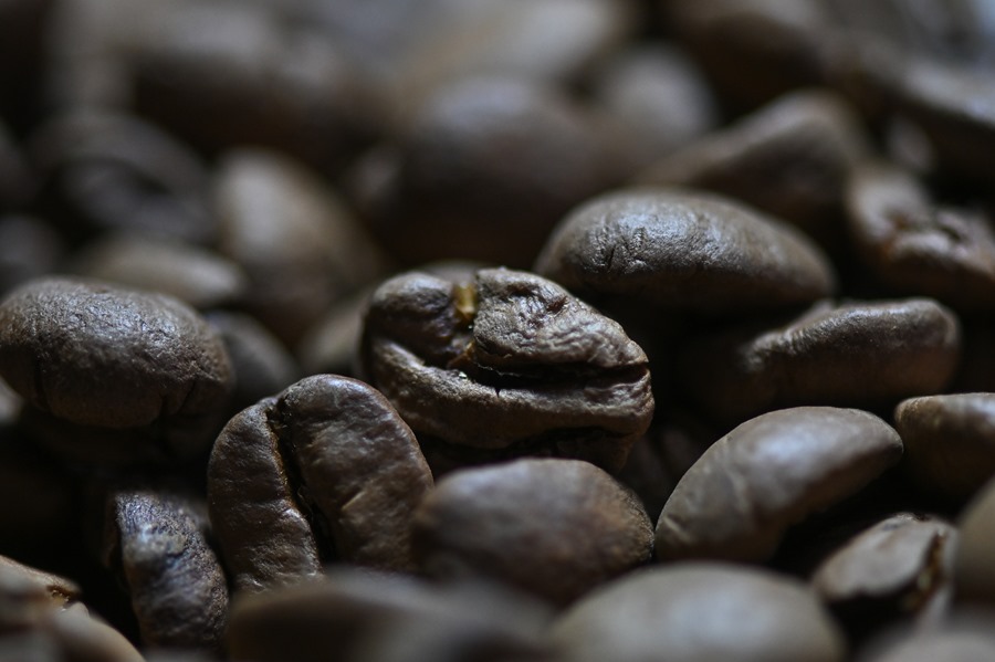 Granos de café en una plantación en una zona rural en Brasilia (Brasil). EFE/ Andre Borges
