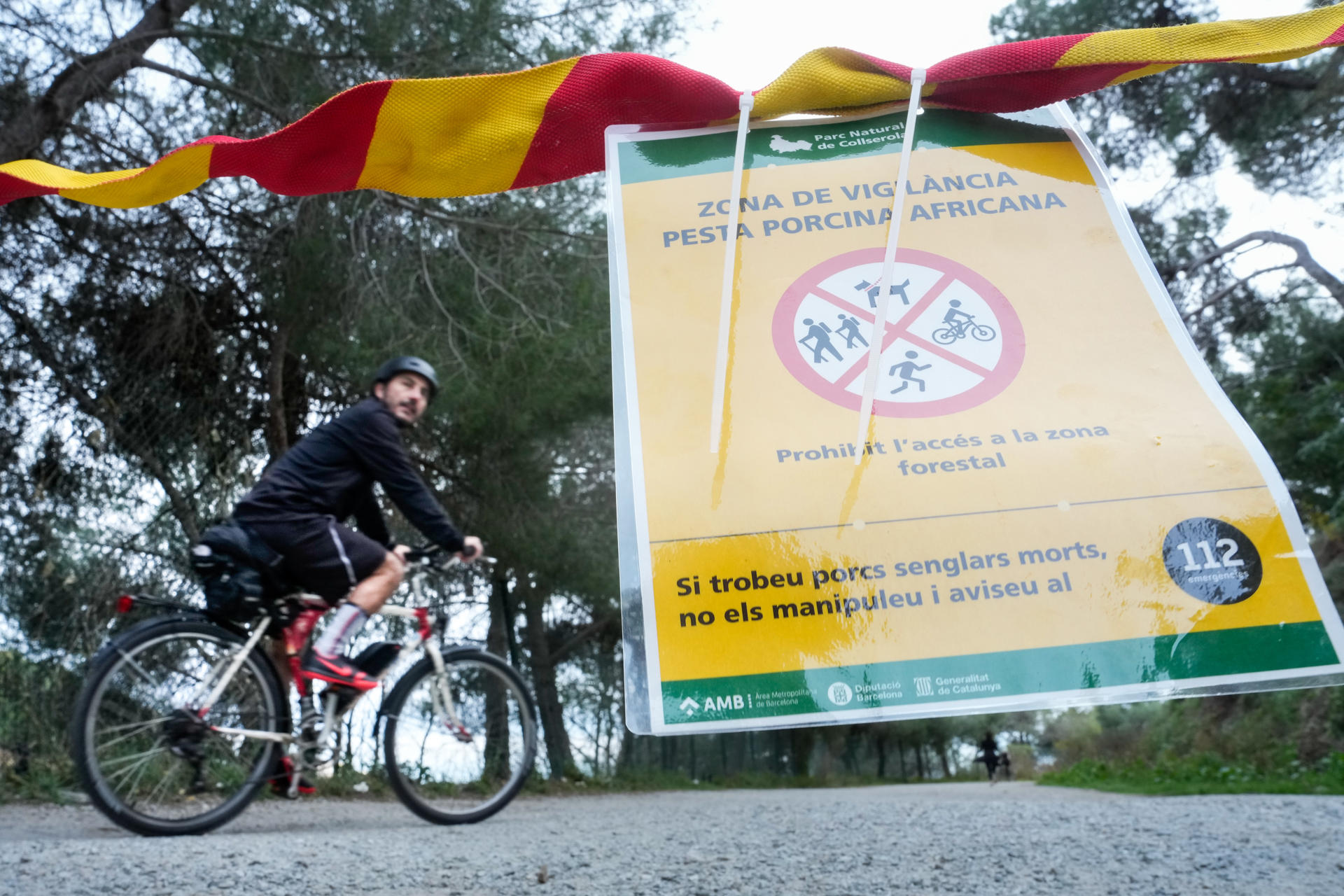 Vista de uno de los carteles situados en los accesos al Parque Natural de Collserola, alertando de la presencia de la peste porcina. EFE/Enric Fontcuberta