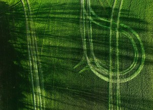 Una explotación agraria abonada en Navarra. EFE/Jesús Diges