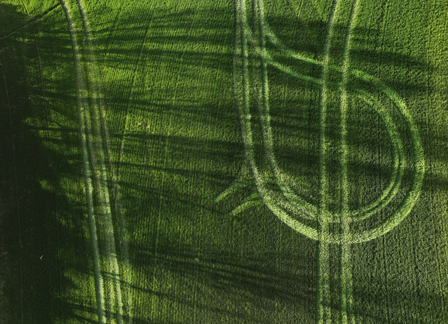 Una explotación agraria abonada en Navarra. EFE/Jesús Diges