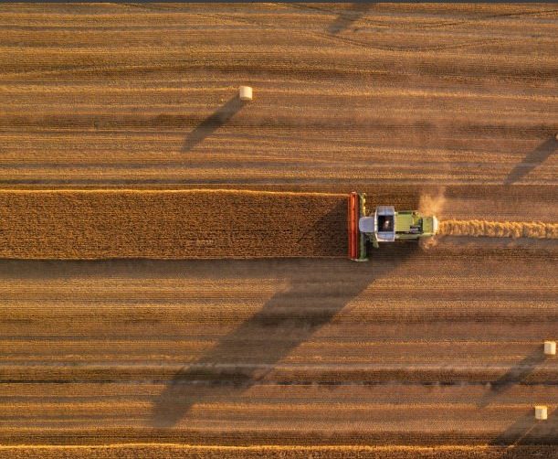Imagen de un tractor en un campo agrícola. Foto cedida por el MAPA