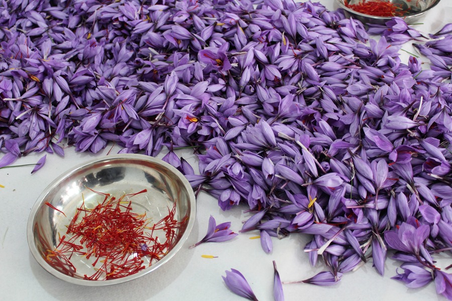 Muestra de azafrán de la Denominación de Origen Azafrán de La Mancha. EFE/Elisa Laderas