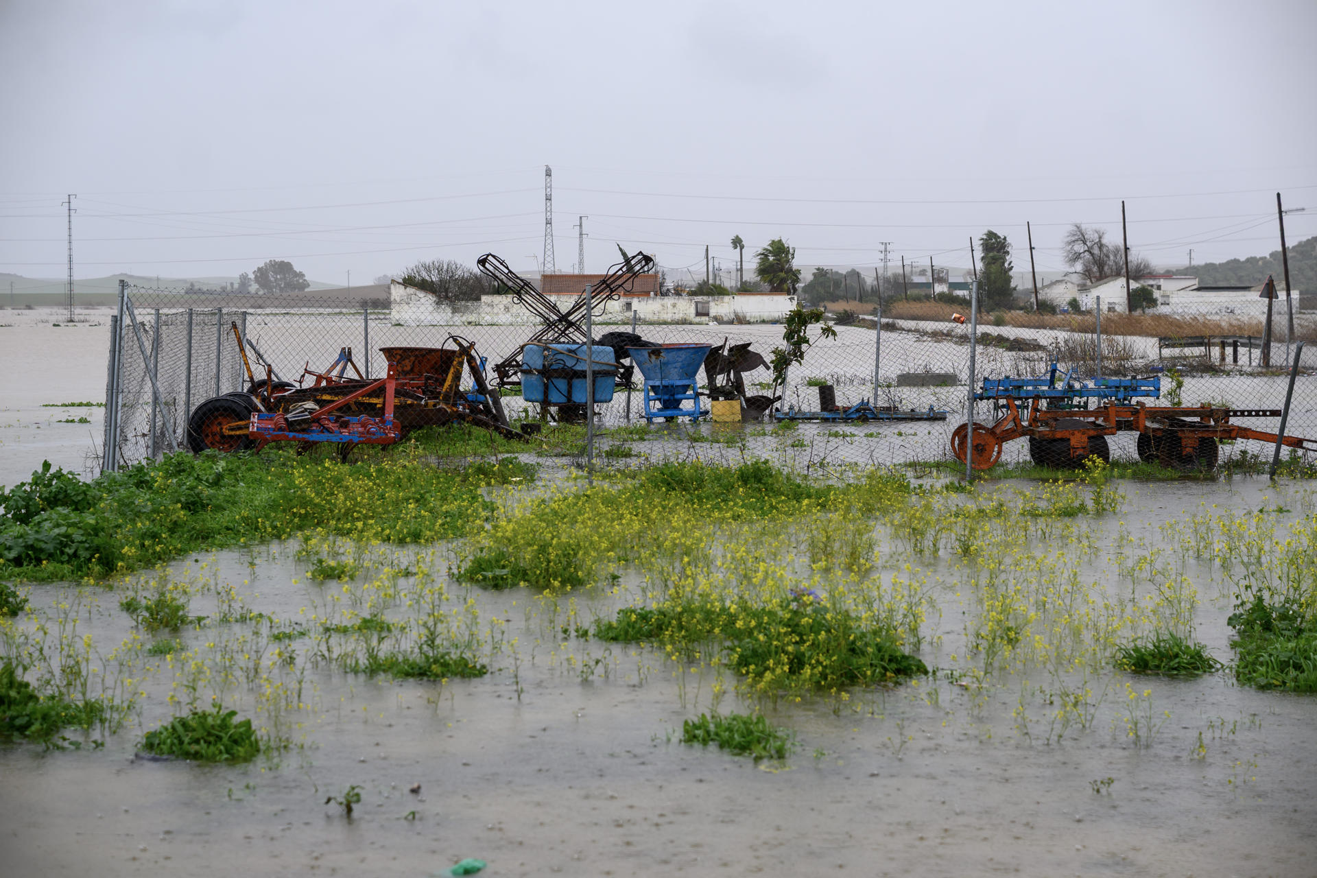 Zona anegada a principios de 2026 en El Palmar de Troya (Sevilla). EFE/ Raúl Caro.