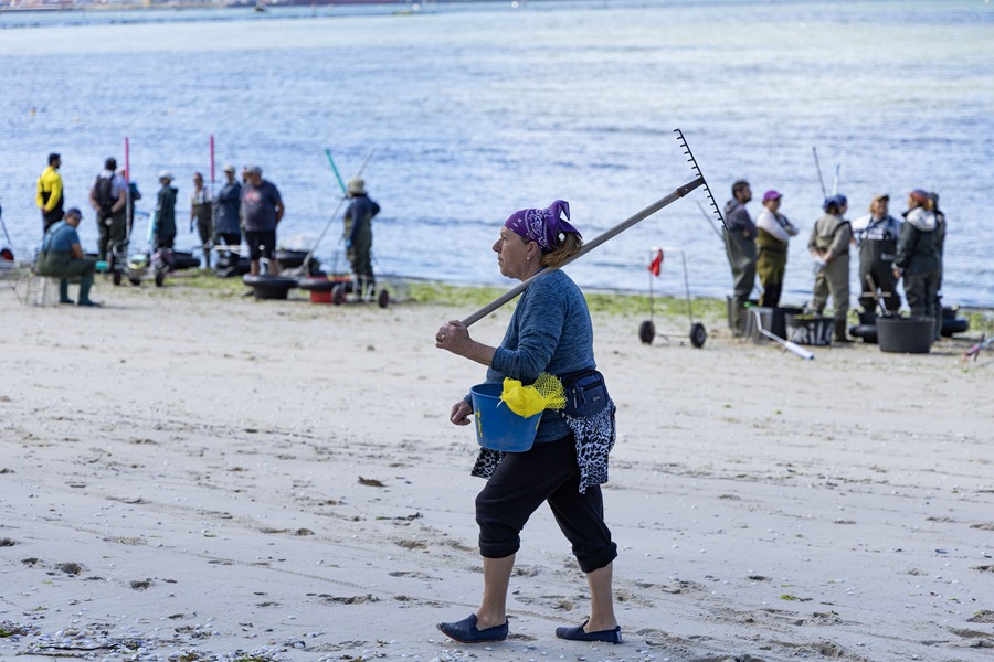 Una mariscadora en la ría de Pontevedra. EFE/Salvador Sas