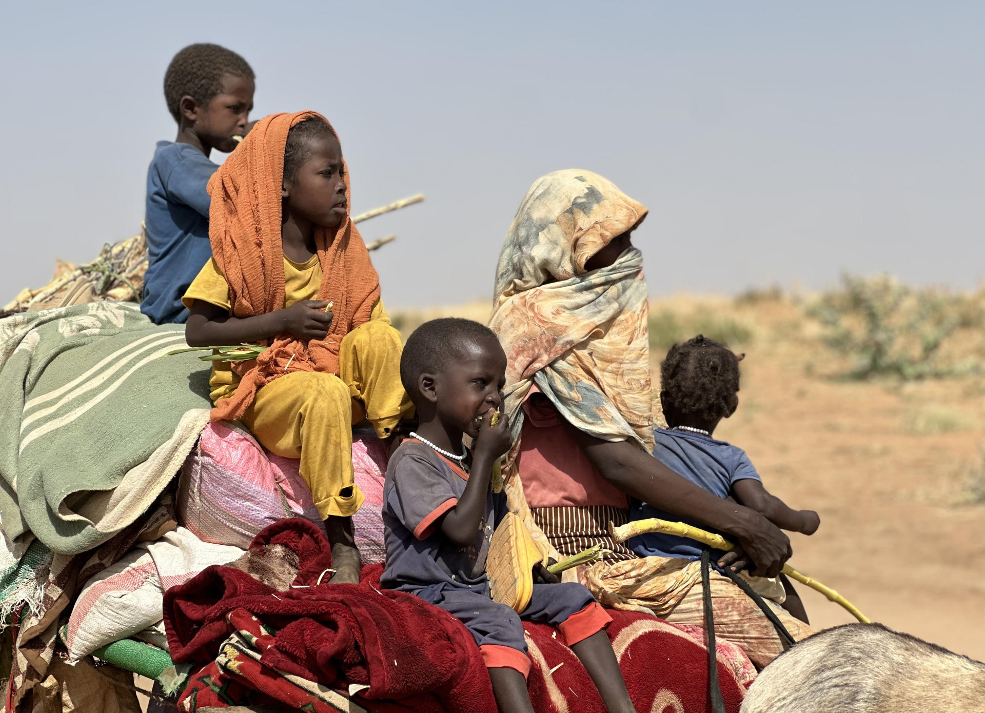 Desplazados sudaneses en la región de Darfur, afectada por el conflicto y el hambre. EFE/ Marwan Mohamed
