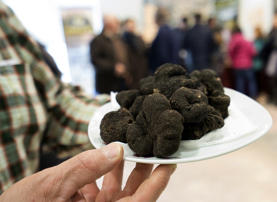 Trufa negra de Teruel en una feria. EFE/Antonio García