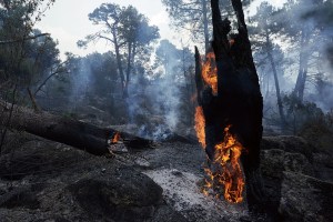 Zonas quemadas en los alrededores de el embalse de El Burguillo por el incendio que se originó en Burgohondo (Ávila). EFE/Raúl Sanchidrián