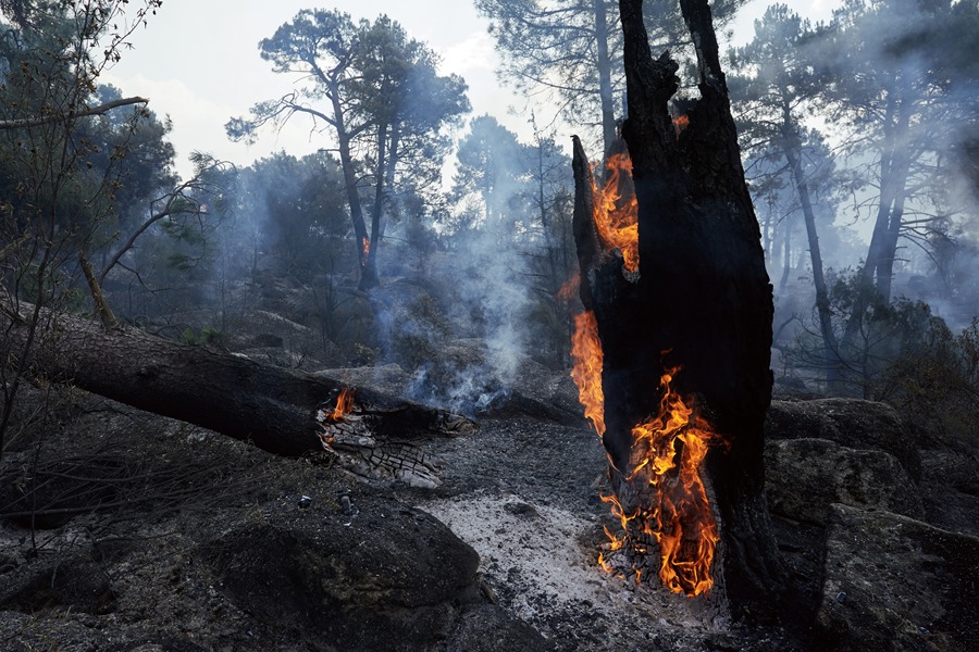 Zonas quemadas en los alrededores de el embalse de El Burguillo por el incendio que se originó en Burgohondo (Ávila). EFE/Raúl Sanchidrián