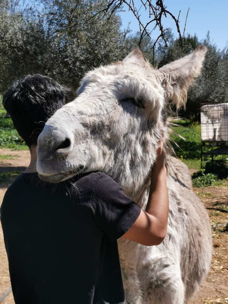 En "El Burrito Feliz" ayudan con sus burros a personas con enfermedades. EFE / Cedida por "El Burrito Feliz"