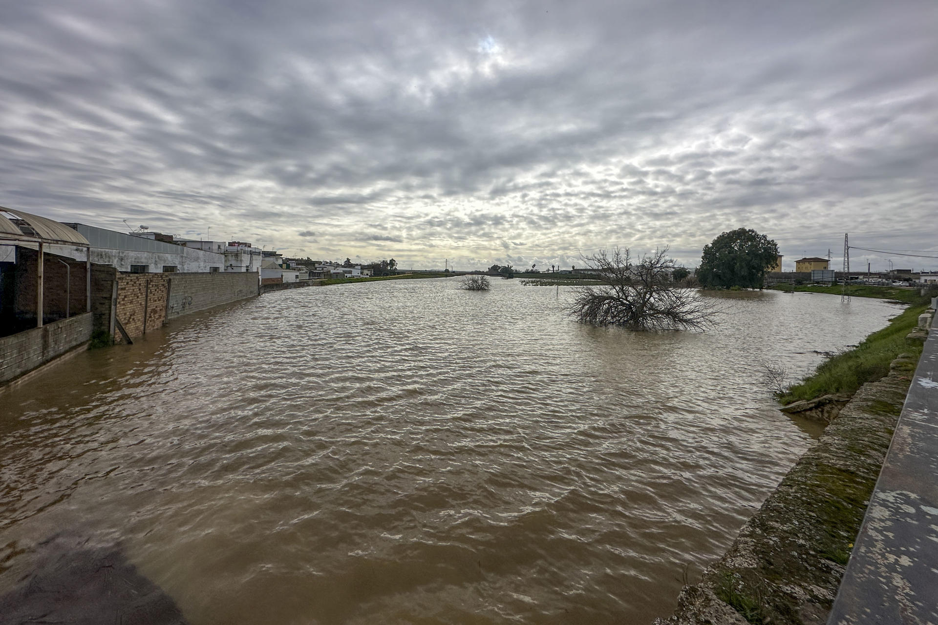 Inundaciones en Lora del Río (Sevilla) en febrero de 2026. EFE/ David Arjona