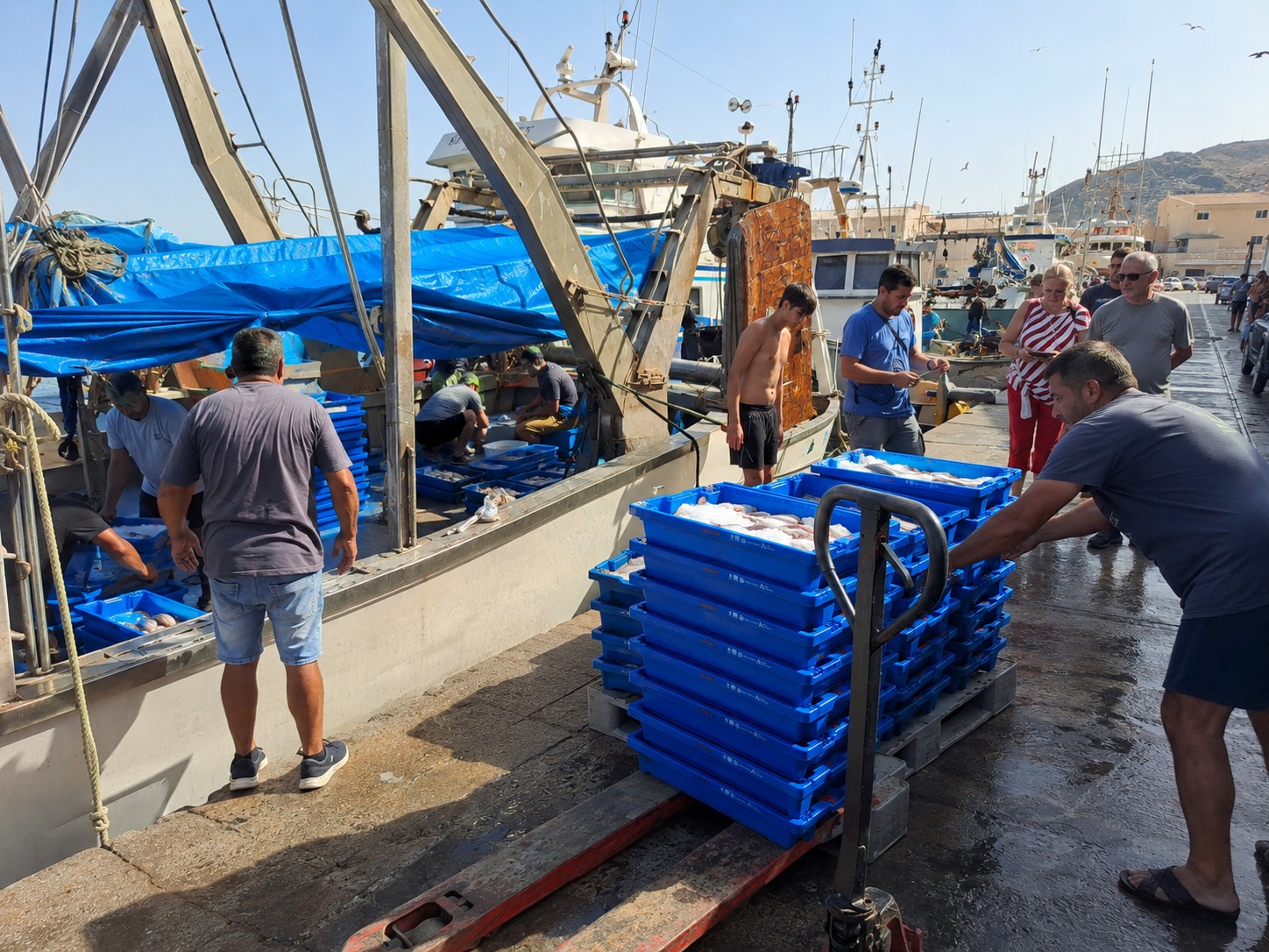 Efeagro/Asociación La Chanca-Pescadería A mucha honra.