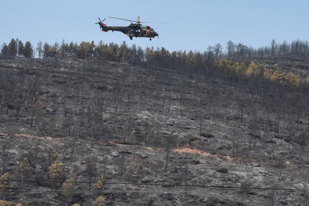 Terreno afectado por el incendio de las Peñas de Riglos (Huesca). EFE/ Javier Blasco