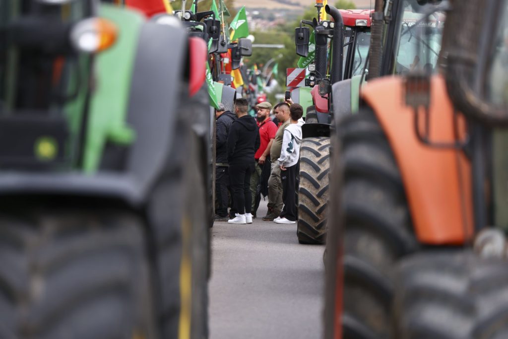 Protesta de agricultores y ganaderos convocados por la organización agraria Asaja bajo el lema 'Estáis matando al mundo rural', este martes en Toledo.EFE/ Ismael Herrero